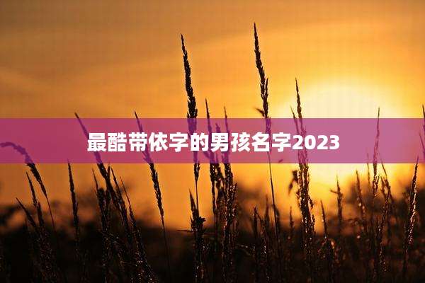 最酷带依字的男孩名字2023