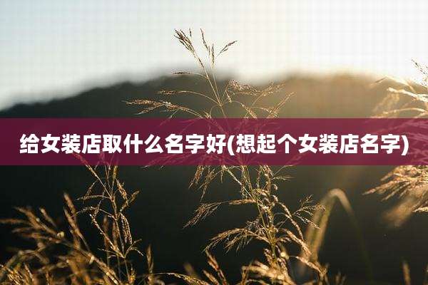 给女装店取什么名字好(想起个女装店名字)