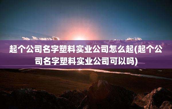 起个公司名字塑料实业公司怎么起(起个公司名字塑料实业公司可以吗)