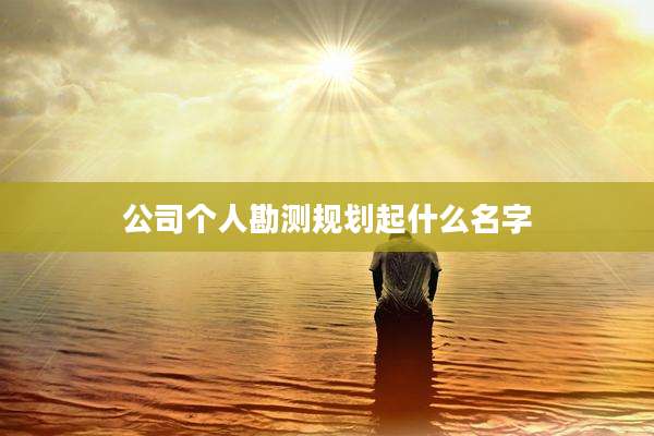 公司个人勘测规划起什么名字