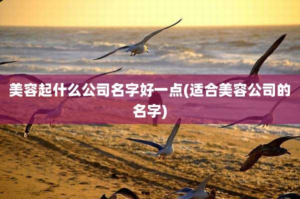 美容起什么公司名字好一点(适合美容公司的名字)