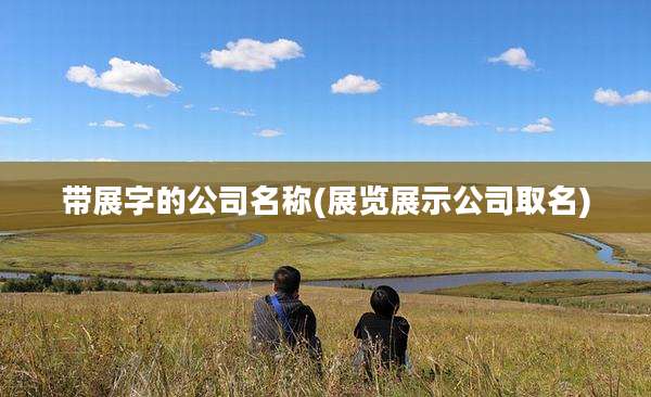 带展字的公司名称(展览展示公司取名)