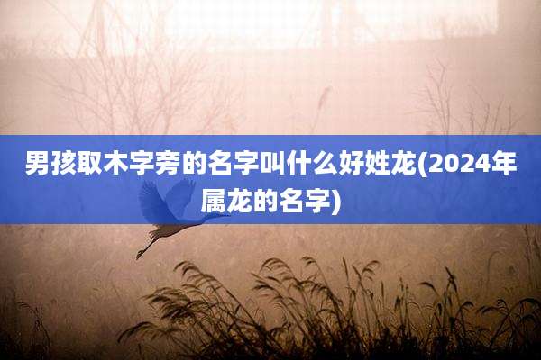 男孩取木字旁的名字叫什么好姓龙(2024年属龙的名字)