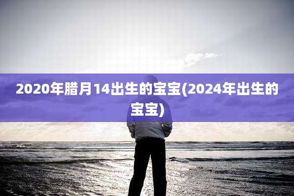 2020年腊月14出生的宝宝(2024年出生的宝宝)