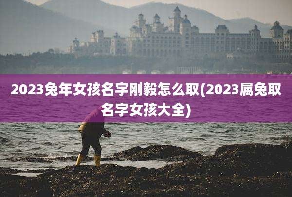 2023兔年女孩名字刚毅怎么取(2023属兔取名字女孩大全)