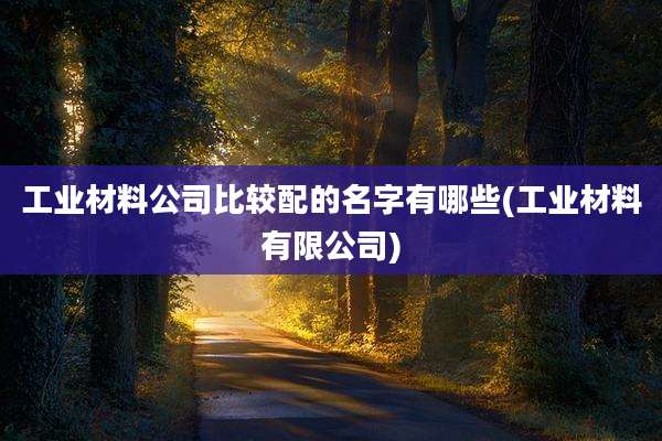 工业材料公司比较配的名字有哪些(工业材料有限公司)