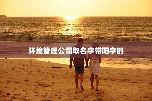 环境管理公司取名字带阳字的