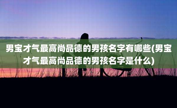 男宝才气最高尚品德的男孩名字有哪些(男宝才气最高尚品德的男孩名字是什么)