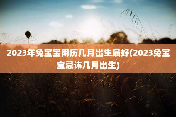 2023年兔宝宝阴历几月出生最好(2023兔宝宝忌讳几月出生)