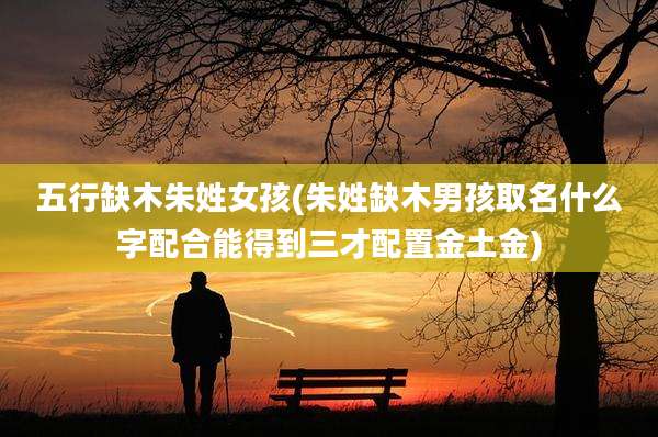 五行缺木朱姓女孩(朱姓缺木男孩取名什么字配合能得到三才配置金土金)
