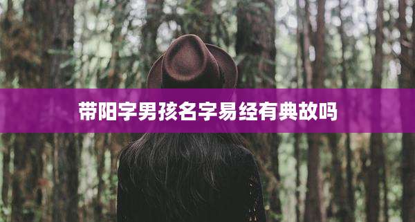 带阳字男孩名字易经有典故吗