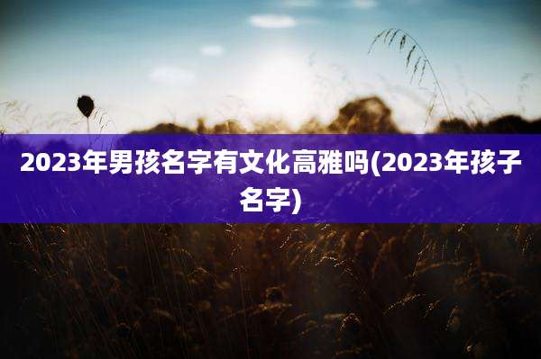 2023年男孩名字有文化高雅吗(2023年孩子名字)