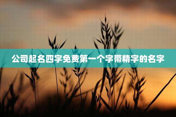 公司起名四字免费第一个字带精字的名字