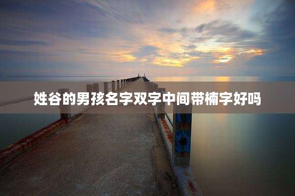 姓谷的男孩名字双字中间带楠字好吗