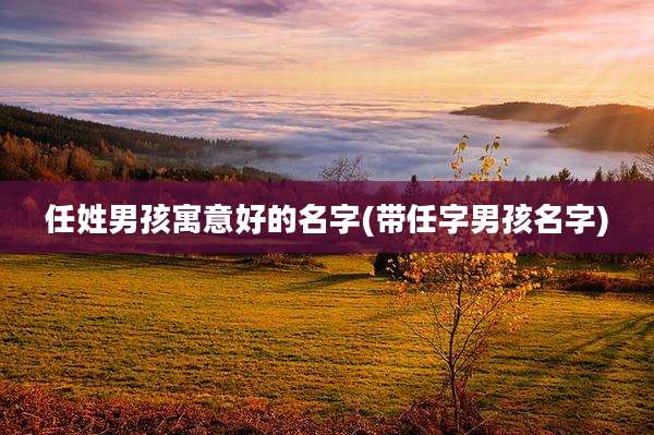 任姓男孩寓意好的名字(带任字男孩名字)
