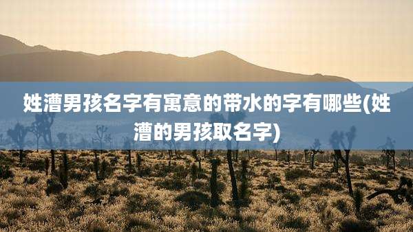 姓漕男孩名字有寓意的带水的字有哪些(姓漕的男孩取名字)