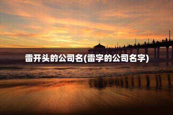 雷开头的公司名(雷字的公司名字)