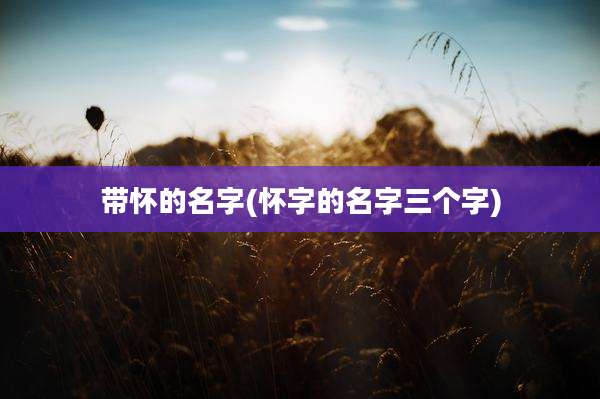 带怀的名字(怀字的名字三个字)