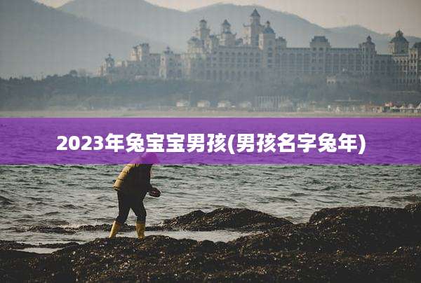 2023年兔宝宝男孩(男孩名字兔年)