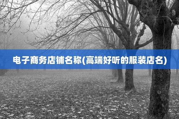 电子商务店铺名称(高端好听的服装店名)