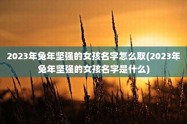 2023年兔年坚强的女孩名字怎么取(2023年兔年坚强的女孩名字是什么)