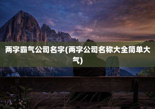 两字霸气公司名字(两字公司名称大全简单大气)
