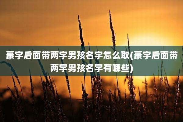 豪字后面带两字男孩名字怎么取(豪字后面带两字男孩名字有哪些)