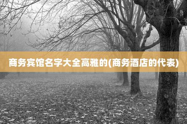 商务宾馆名字大全高雅的(商务酒店的代表)