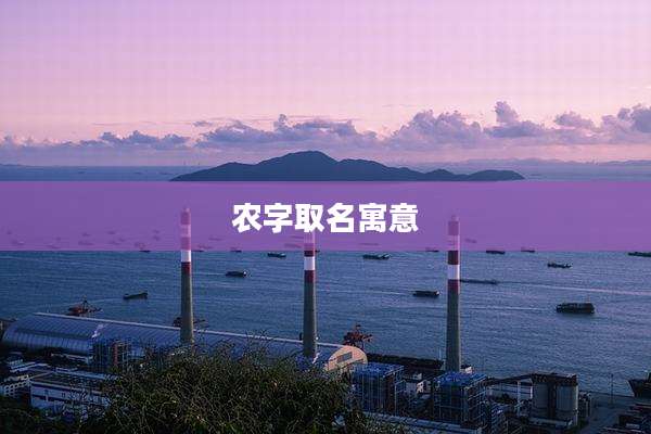 农字取名寓意