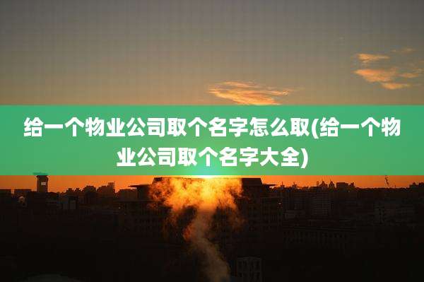 给一个物业公司取个名字怎么取(给一个物业公司取个名字大全)