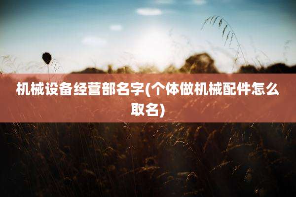 机械设备经营部名字(个体做机械配件怎么取名)