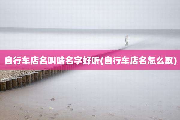 自行车店名叫啥名字好听(自行车店名怎么取)