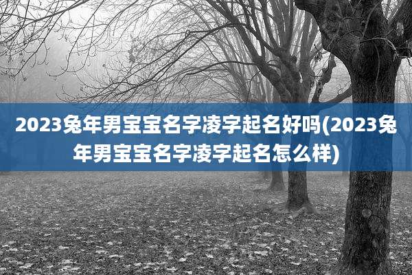 2023兔年男宝宝名字凌字起名好吗(2023兔年男宝宝名字凌字起名怎么样)