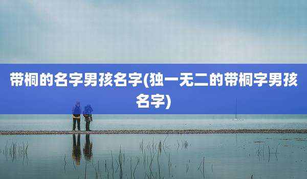 带桐的名字男孩名字(独一无二的带桐字男孩名字)