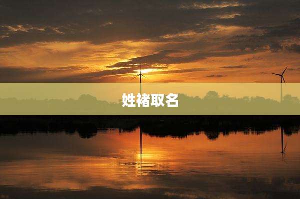 姓褚取名