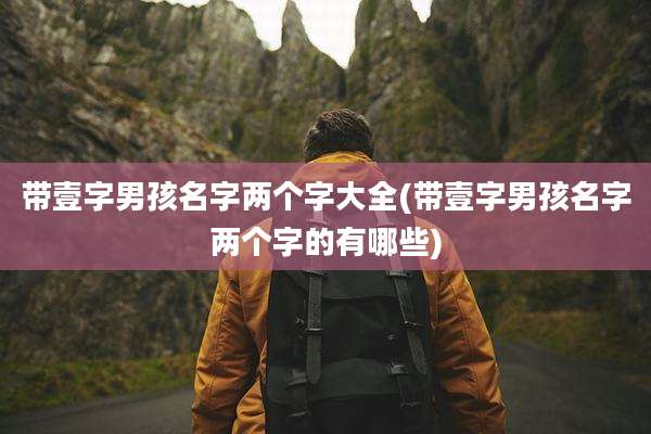 带壹字男孩名字两个字大全(带壹字男孩名字两个字的有哪些)