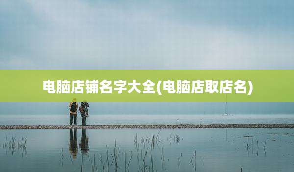 电脑店铺名字大全(电脑店取店名)