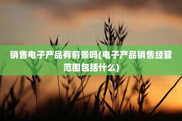 销售电子产品有前景吗(电子产品销售经营范围包括什么)