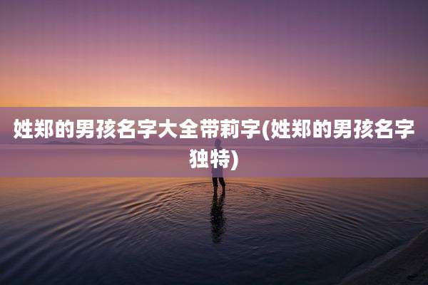 姓郑的男孩名字大全带莉字(姓郑的男孩名字独特)