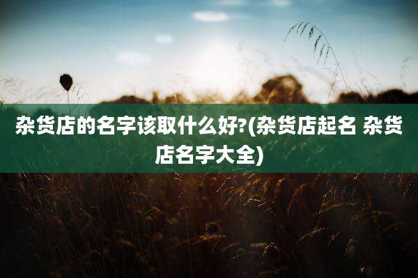 杂货店的名字该取什么好?(杂货店起名 杂货店名字大全)