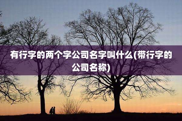 有行字的两个字公司名字叫什么(带行字的公司名称)