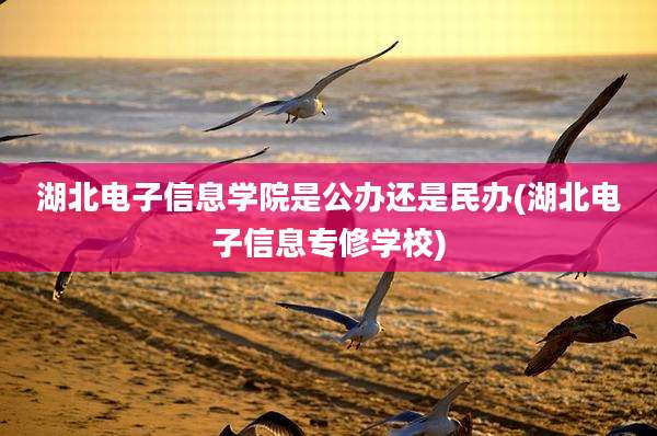 湖北电子信息学院是公办还是民办(湖北电子信息专修学校)