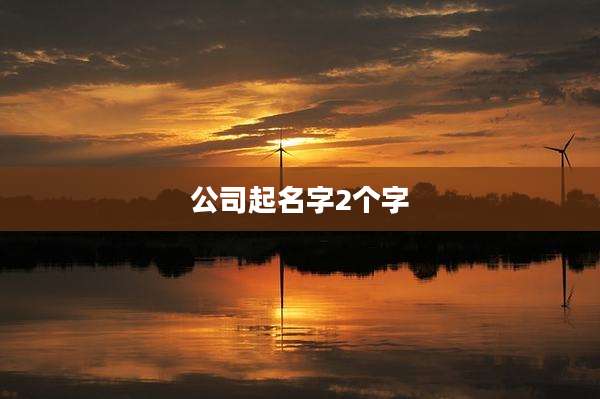 公司起名字2个字