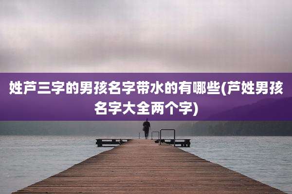 姓芦三字的男孩名字带水的有哪些(芦姓男孩名字大全两个字)