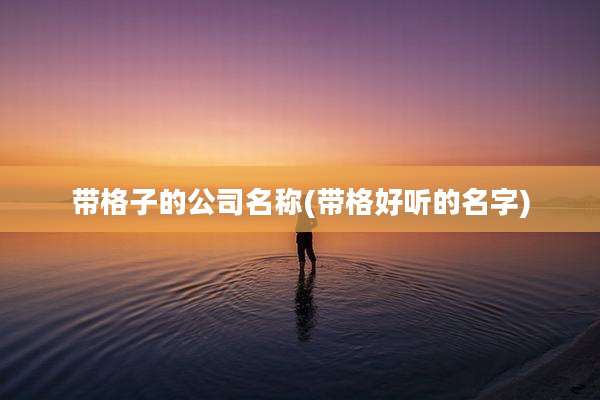 带格子的公司名称(带格好听的名字)