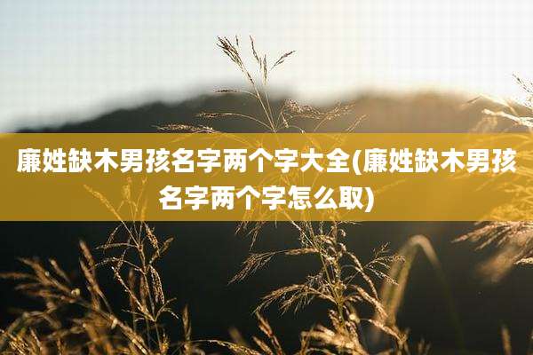 廉姓缺木男孩名字两个字大全(廉姓缺木男孩名字两个字怎么取)
