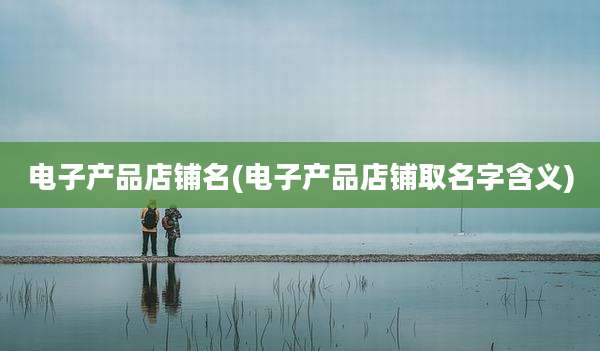电子产品店铺名(电子产品店铺取名字含义)