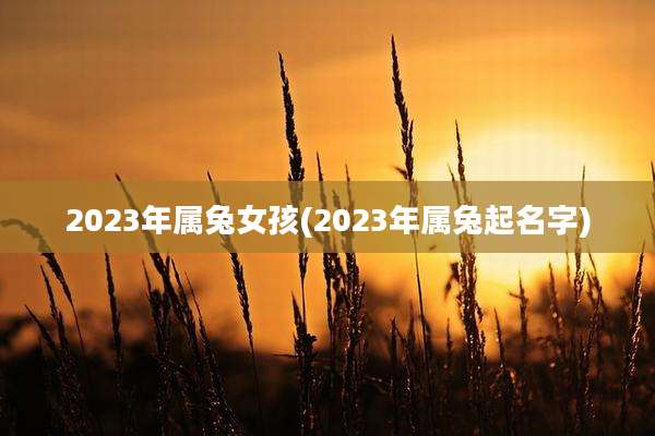 2023年属兔女孩(2023年属兔起名字)