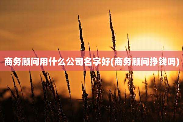 商务顾问用什么公司名字好(商务顾问挣钱吗)