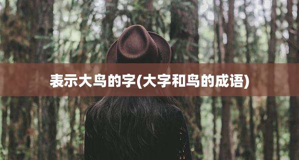 表示大鸟的字(大字和鸟的成语)